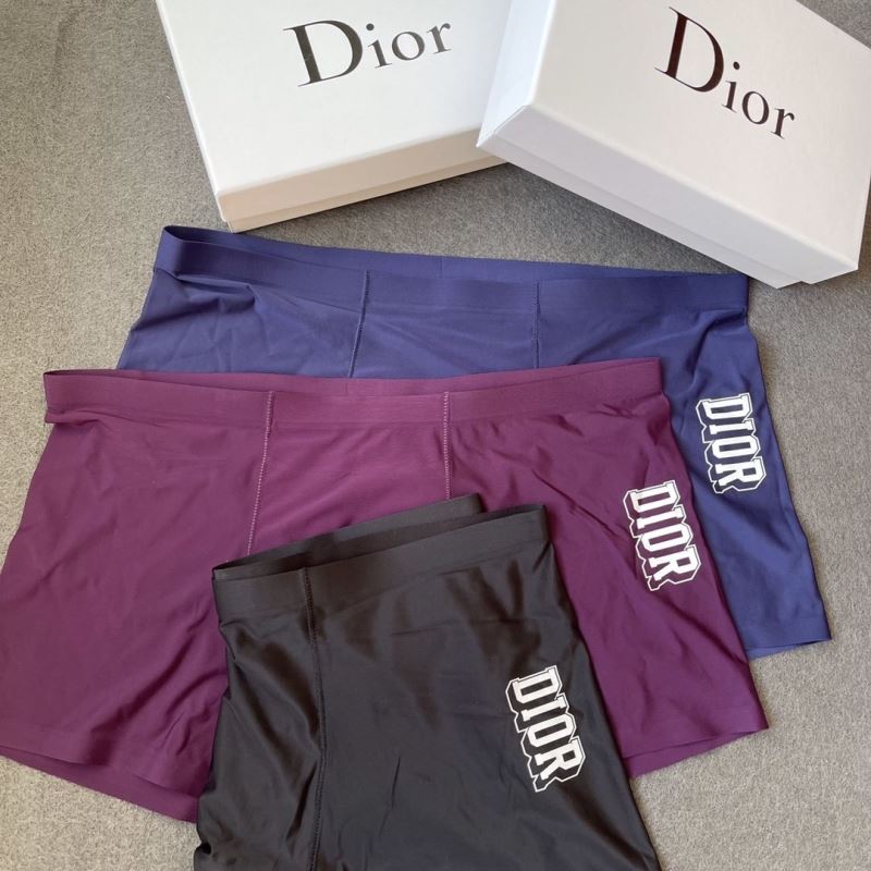 Dior Panties